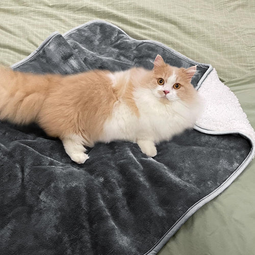 Waterproof Lovers' Blanket